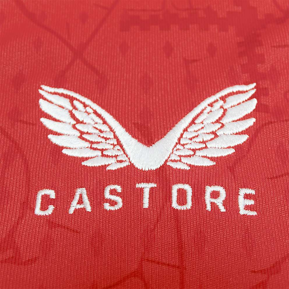 2024 Bayer 04 Leverkusen Home Football Shirt Fan version