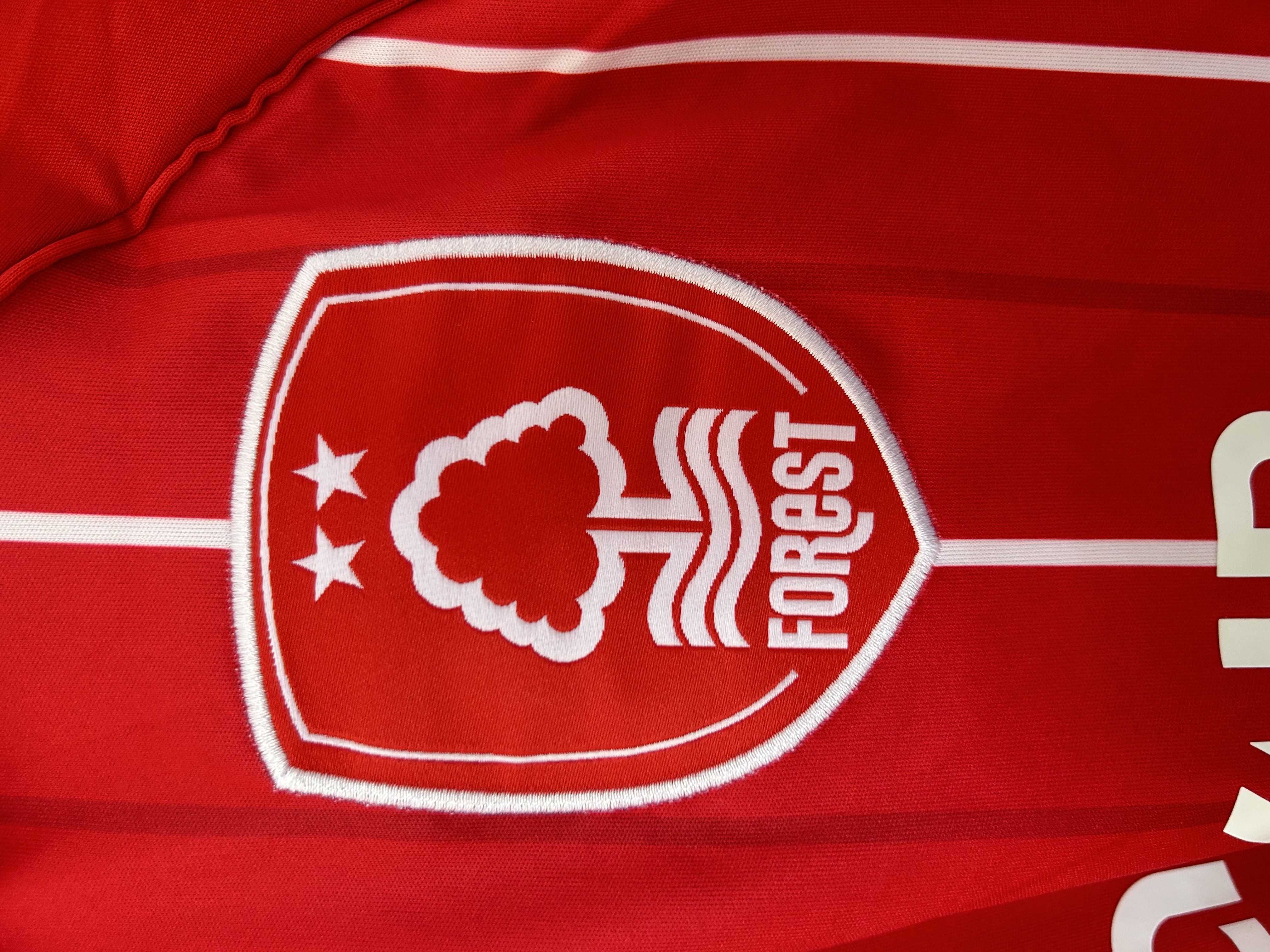 2025/26 Nottingham Forest Home Football Shirt Fan version