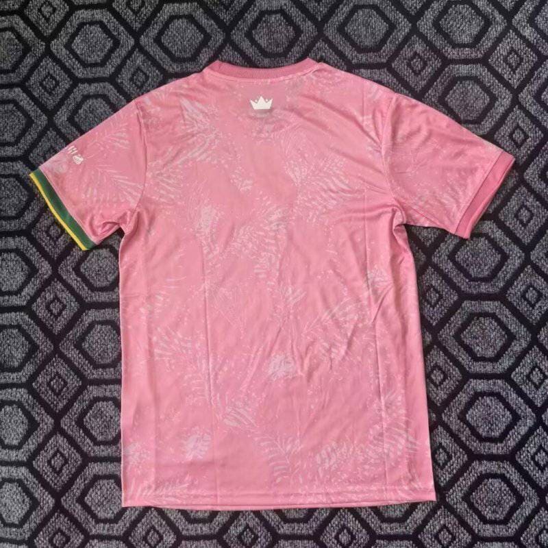 2025/2026 Brazil Special Football Shirt